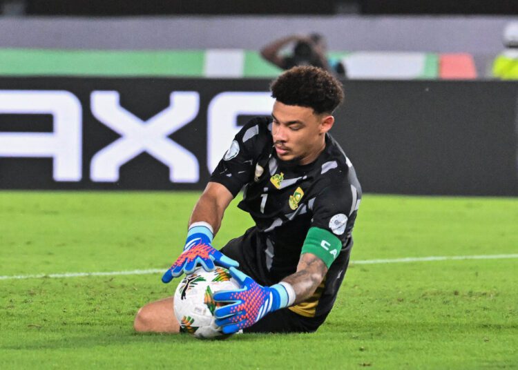 Rowen Williams makes a comfortable save