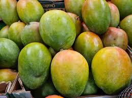 New Mango Price Floor Targets Exploitative Buyers 3 Mangoes 1