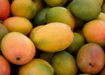 Mangoes