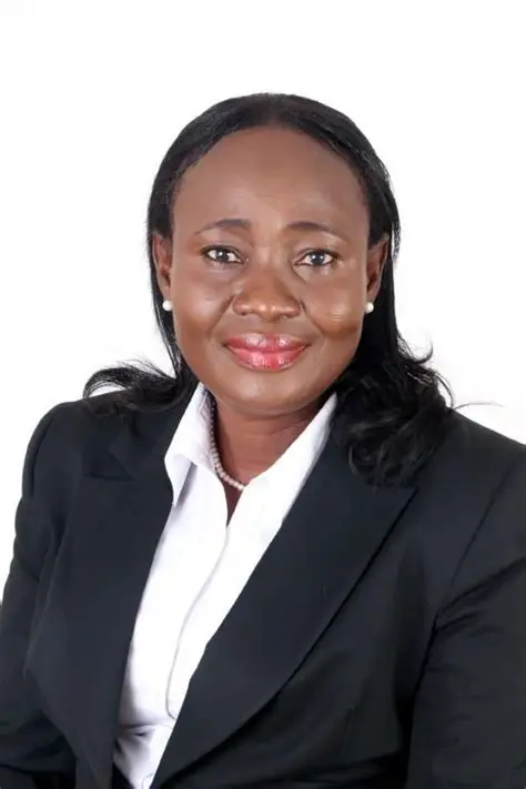 "Decisive Shift" As Ghana Targets Clean Energy Infrastructure Expansion Till 2035 2 OIP 17