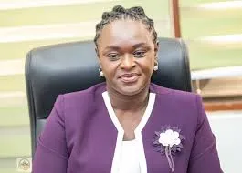 Government Bans All Styrofoam Products Effective January 2027 5 Professor Nana Ama Brown Klutse 2