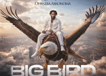 Lyrical Joe's "Big Bird" Song