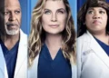 Grey's Anatomy Series