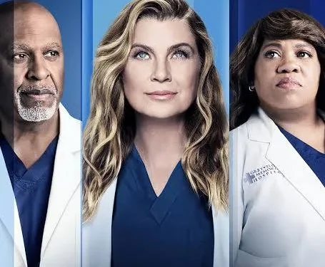 Grey's Anatomy Series