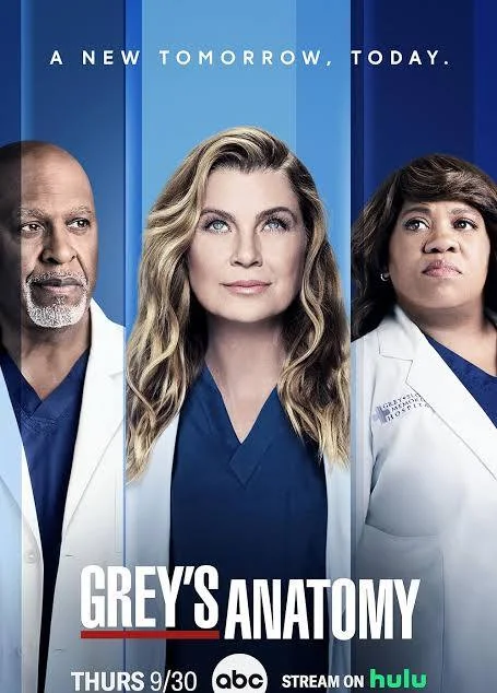 Grey's Anatomy Series