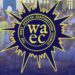 WASSCE Performance: Education Ministry Awaits Chief Examiner’s Report 13 West African Examination Council Image Logo
