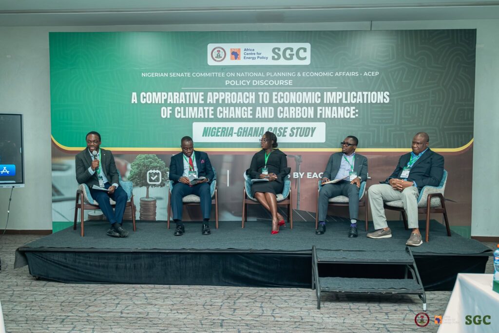 Climate Action Can Drive Sustainable Continental Domestic Resource Mobilisation - ACEP 3 722337455 1413912687425774 2787933989171748838 n