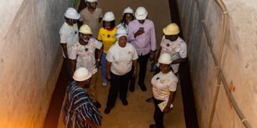 Ministry of Energy and the Bui Power Authority (BPA)