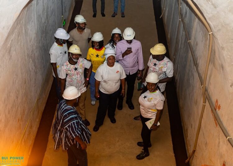 Ministry of Energy and the Bui Power Authority (BPA)