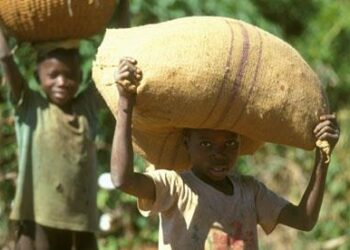 Over 1.1 Million Ghanaian Children Engaged in Labour, CHRAJ Urges Action 5 Child labour 1