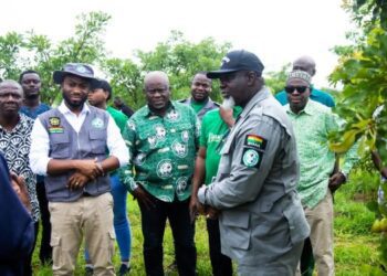 TCDA Partners with CRIG to Deploy Short-Gestation Seedlings for Shea Industry 3 Dr. Andy Osei Okrah, TCDA CEO, and Team, at the Cocoa Research Institute of Ghana Bole Sub-Station