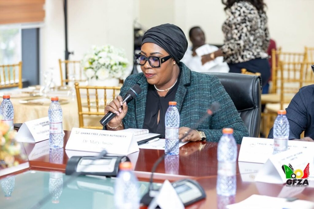 GFZA Seeks Statutory Updates to Maximize Continental Trade Benefits 2 Dr. Mary Awusi GFZA CEO 6