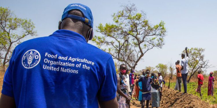 Food and Agriculture Organization of the United Nations