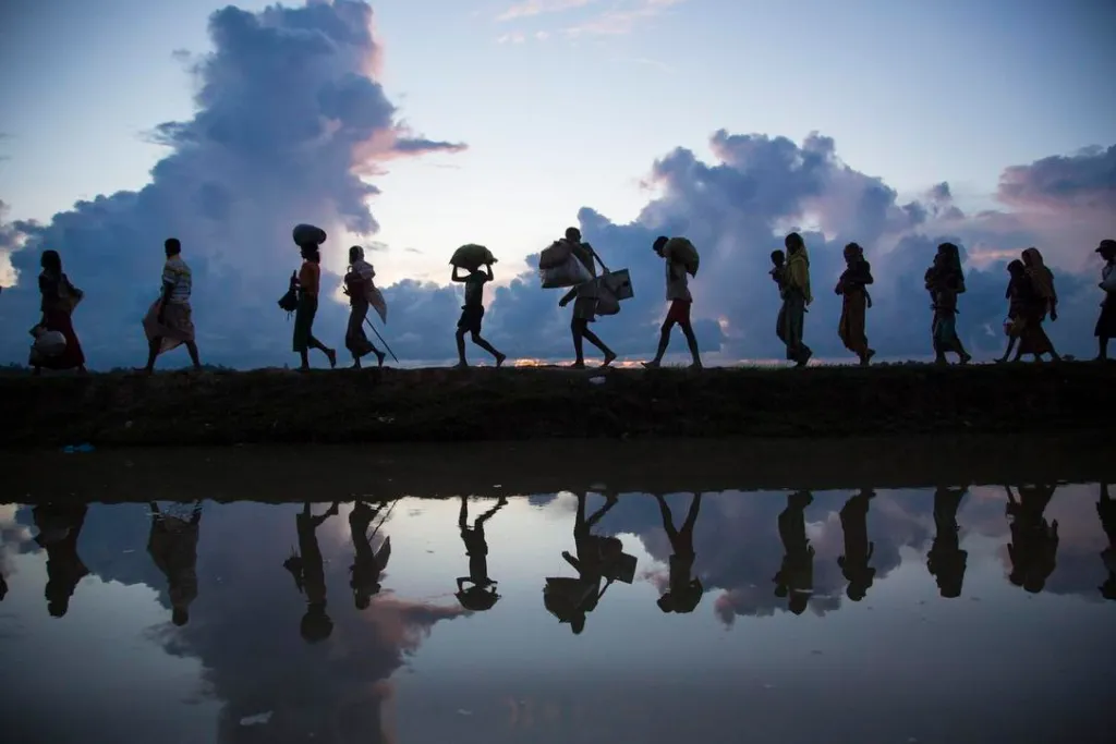Global Refugee