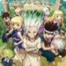Dr. Stone
