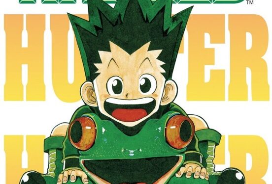 Hunter x Hunter anime