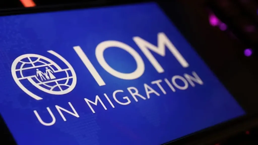 IOM 3