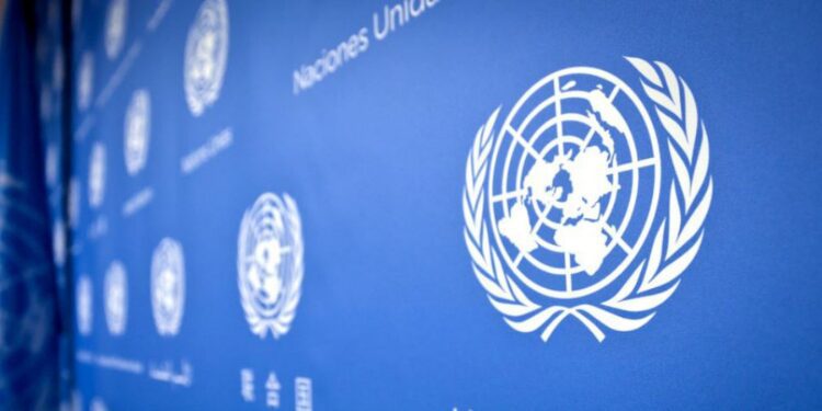 UN Investigators Call for Immediate Release of Palestinian Doctor Held by Israel 1 United Nations