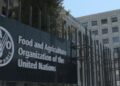 FAO Secures Funding for Forest Protection and Climate Action 7 Food and Agriculture Organization of the United Nations (FAO)