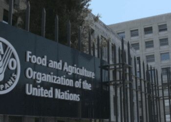 FAO Secures Funding for Forest Protection and Climate Action 1 Food and Agriculture Organization of the United Nations (FAO)