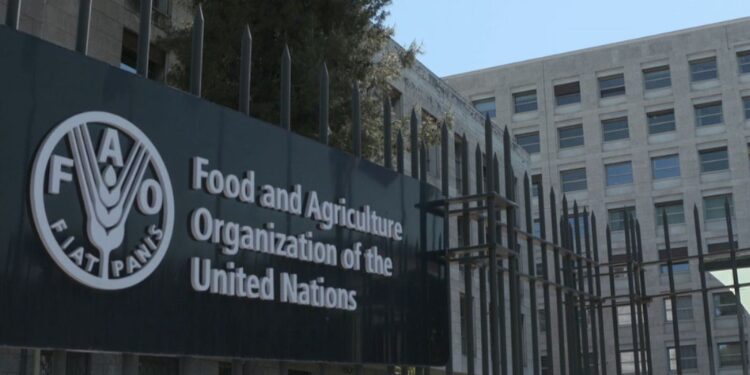 FAO Secures Funding for Forest Protection and Climate Action 1 Food and Agriculture Organization of the United Nations (FAO)