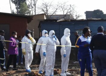 Members of the forensics team at the scene