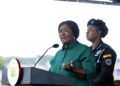 Vice President Professor Jane Naana Opoku Agyemang