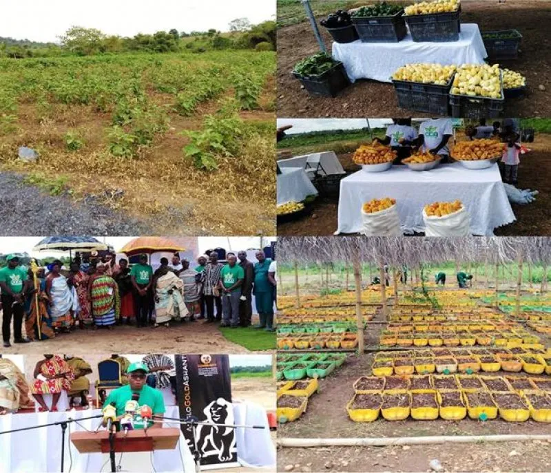 AngloGold Ashanti Commissions Sanso Piggery Centre 5 anglo gold ashanti project
