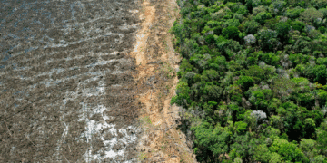 deforest 1
