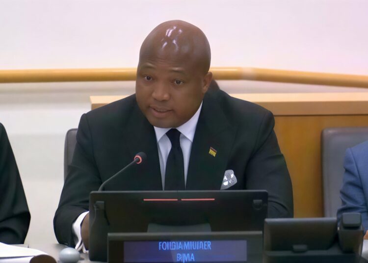 The Minister of Foreign Affairs, Honourable Okudzeto Ablakwa