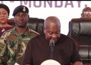 His Excellency John Dramani Mahama