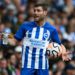 James Milner last played for Brighton and Hove Albion