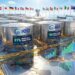 IEA Oil Stock Release