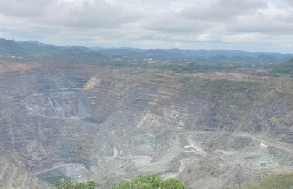 Manganese site