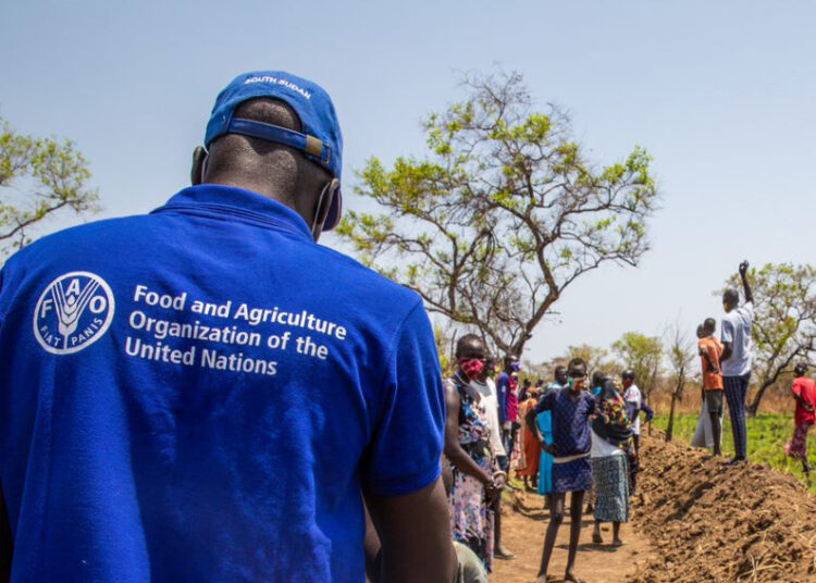 Food and Agriculture Organization of the United Nations (FAO)