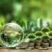 Ghana Risks Missing Green Finance Gains Without Action 15 Ghana Risks Missing Green Finance Gains Without Action