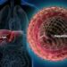 3Million Ghanaians Living with Hepatitis, only 1% Know Their Status – Dr Adiboka 12 HEPETITIS
