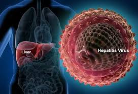 3M Ghanaian Living with Hepatitis, only1% Know Their Status – Dr Adiboka 3 HEPETITIS