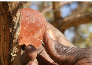 Gum Arabic