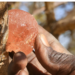 Gum Arabic
