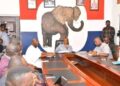 NPP Convenes Crucial Meeting over Wontumi's 20-Year Conviction 8 NPP Leadership at a crucial meeting