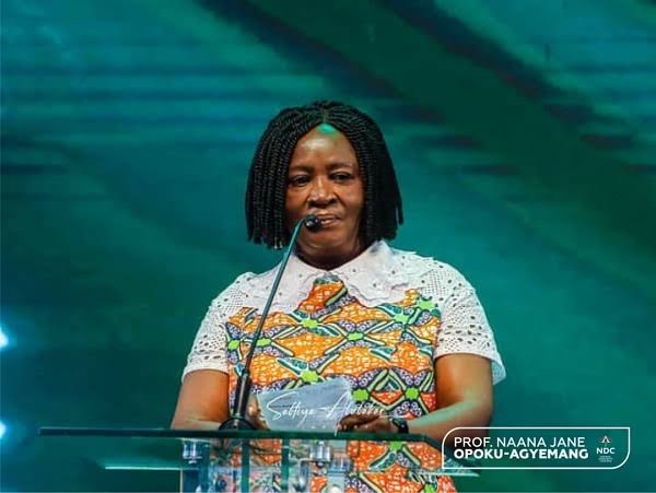 Vice President Professor Naana Jane Opoku Agyemang