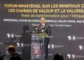 Africa Demands Critical Minerals Paradigm Shift to Fuel Industrialisation 7 Dr. Sidi Ould Tah, President of the African Development Bank Group