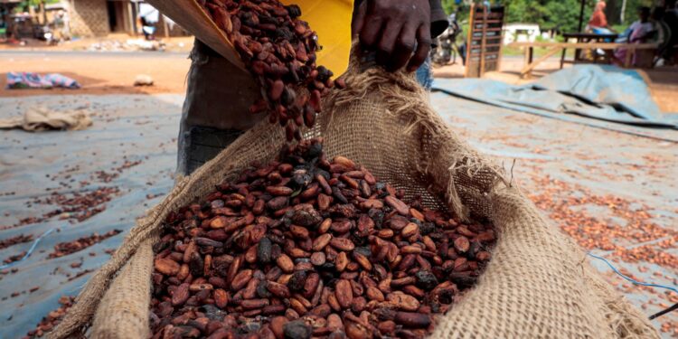 cocoa