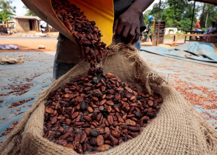 cocoa