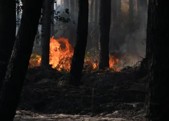 France Allows 84,000 Wildfire Evacuees To Return Home 3 download 60