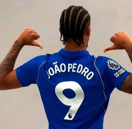 João Pedro Embraces Chelsea No.9 Challenge, Dares To End Curse Narrative 1 17871824629947577184906319589227