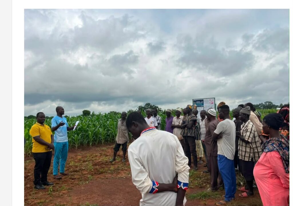 CSIR-SARI Tests Japanese Bio-Stimulant to Boost Yields for Northern Ghana Farmers 2 5375f89a 2853 4190 9f82 f0b2dd0b227f