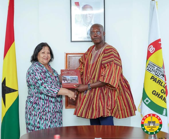 First Deputy Speaker of Parliament with Ambassador of Peru 