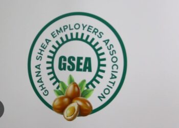 Ghana Loses Millions from Raw Shea Nuts Exports 3 8da47fb9 790d 444e bf35 c91921549636